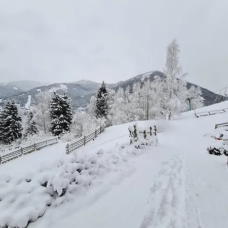 In By Globalimmoservice * 巴德小基希海姆